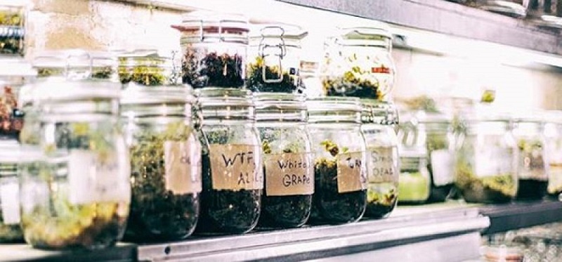 Купить Табак для кальяна на Smoke-Jeen Купить Табак для кальяна на Smoke-Jeen