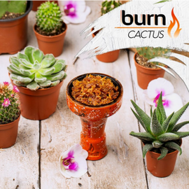 Тютюн Burn Cactus (Берн Кактус) 100 грам