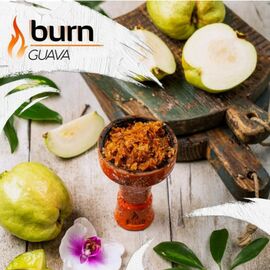 Тютюн Burn Guava (Берн Гуава) 100 грам