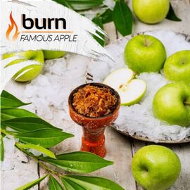 Тютюн Burn Famous Apple (Берн Знамените яблуко) 100 грам
