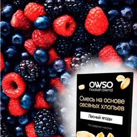 Суміш на основі вівсяних пластівців Owso Лісові Ягоди 100грм