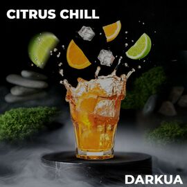 Тютюн DARKUA Citrus Chill (Дарк ЮА Апельсин Лайм Лід) 100 грам