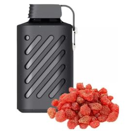 Одноразка Vozol 10000 Cedar Berries (Кедровые Ягоды)