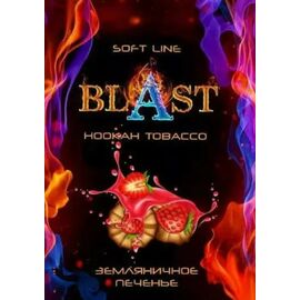 Тютюн Blast Soft Berry Cookies (Ягідне Печиво) 50гр