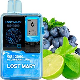 Одноразка Lost Mary OS12000 Blueberry Lime (Чорниця Лайм)