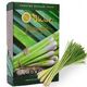 Табак Buta Lemongrass (Бута Лимонграсс) 50 гр
