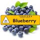 Табак Tangiers Noir Blueberry 21 (Танжирс Черника) 100 грамм