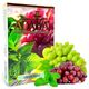 Табак Jibiar Grape Mint (Джибиар Виноград Мята) 50 грамм