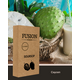 Табак Fusion Classic Soursop (Фьюжн Саусеп) 100 гр